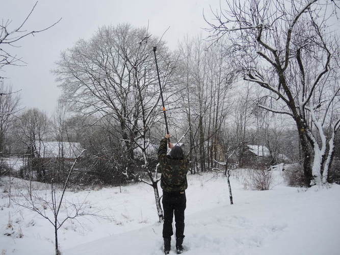 Universaliu genėtuvu galim apasiekti aukštai esančias šakas