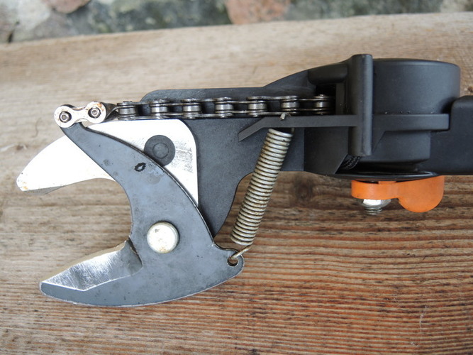 Ilgojo genėtuvo galvutė