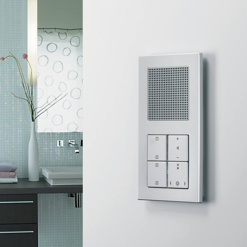 Protingo namo jungiklis vonios interjere